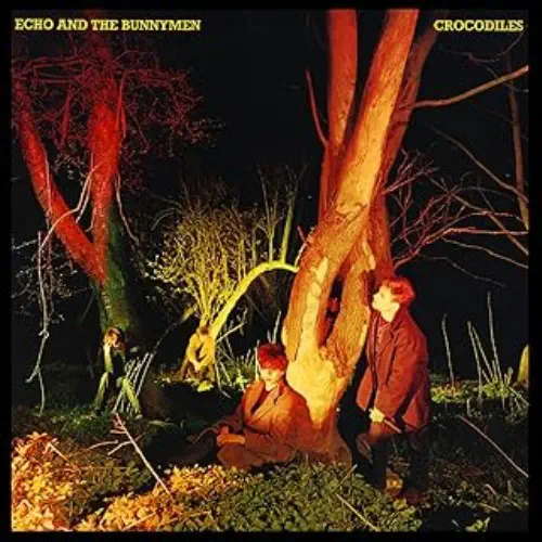 ECHO & THE BUNNYMEN / エコー&ザ・バニーメン / クロコダイルズ