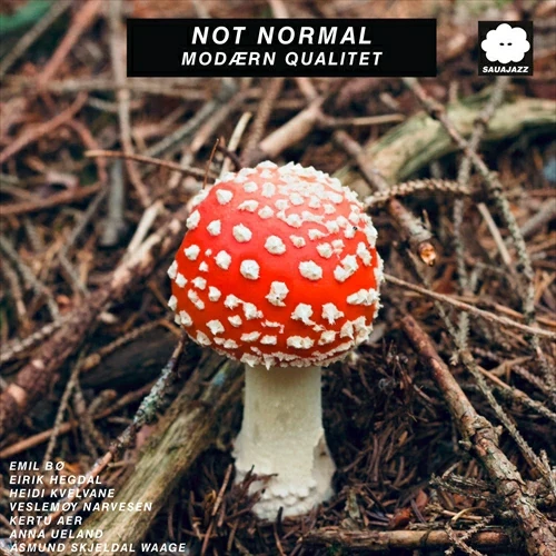 NOT NORMAL / MODAERN QUALITET