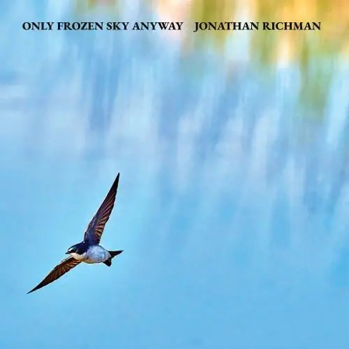 JONATHAN RICHMAN (MODERN LOVERS) / ジョナサン・リッチマン (モダン・ラヴァーズ) / ONLY FROZEN SKY ANYWAY