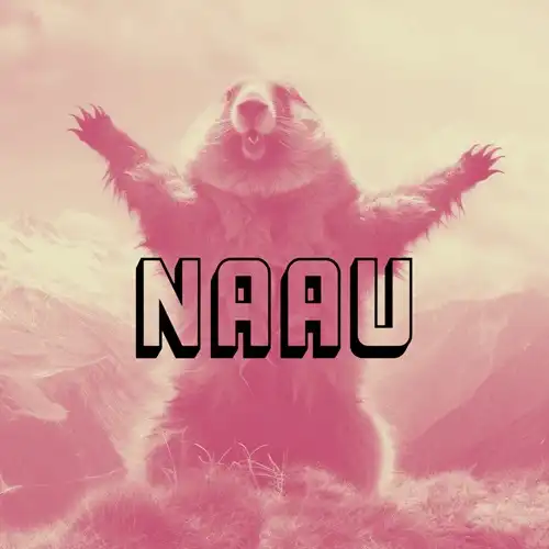 NAAU / フェノールフタレインの雨