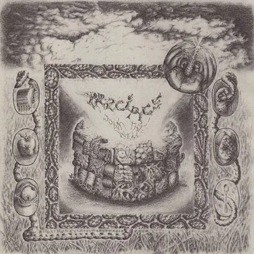 PRECIPICE (PUNK) / DOWN THE WELL (LP)