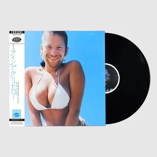 APHEX TWIN / エイフェックス・ツイン / WINDOWLICKER（12"）
