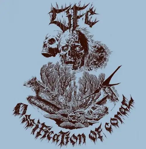 LIFE (JPN/PUNK) / OSSIFICATION OF CORAL (LP) / OSSIFICATION OF CORAL (CLEAR BLUE VINYL)