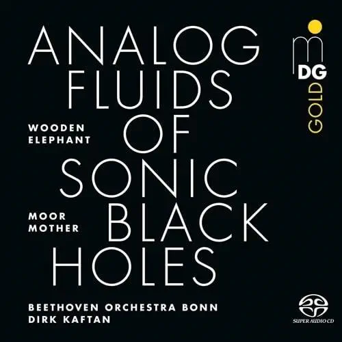 MOOR MOTHER / ムーア・マザー / ANALOG FLUIDS OF SONIC BLACK HOLES