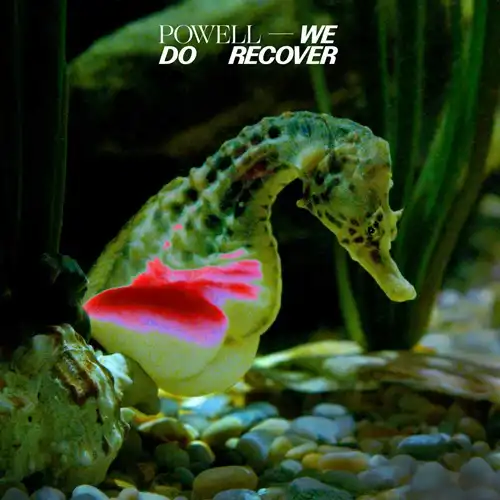 POWELL (TECHNO) / パウエル / WE DO RECOVER (2LP)