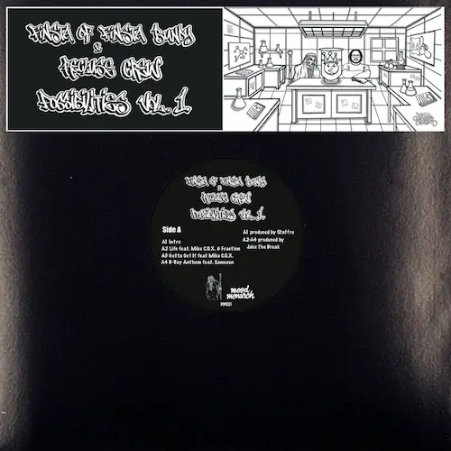 FINSTA & RECLUSE CREW / POSSIBILITIES VOL.1 (LP)