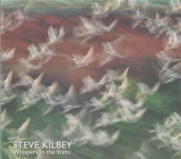 STEVE KILBEY / WHISPERS IN THE STATIC