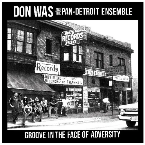 DON WAS / ドン・ウォズ / GROOVE IN THE FACE OF ADVERSITY (LP)