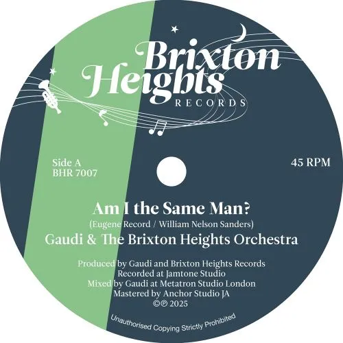 GAUDI & THE BRIXTON HEIGHTS ORCHESTRA / AM I THE SAME MAN?