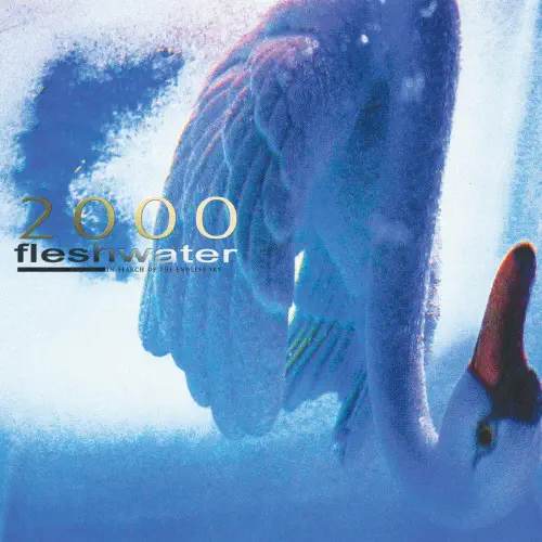 FLESHWATER / フレッシュウォーター / 2000: IN SEARCH OF THE ENDLESS SKY