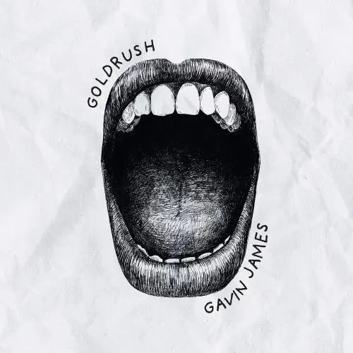 GAVIN JAMES / GOLDRUSH (VINYL)