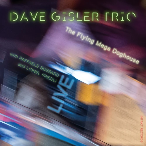 DAVE GISLER / デイブ・ジスラー / FLYING MEGA DOGHOUSE - LIVE