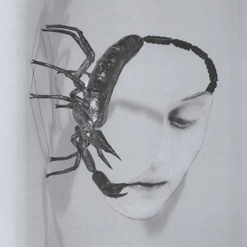 TORTOISE / トータス / TOUCH (BLACK VINYL LP)