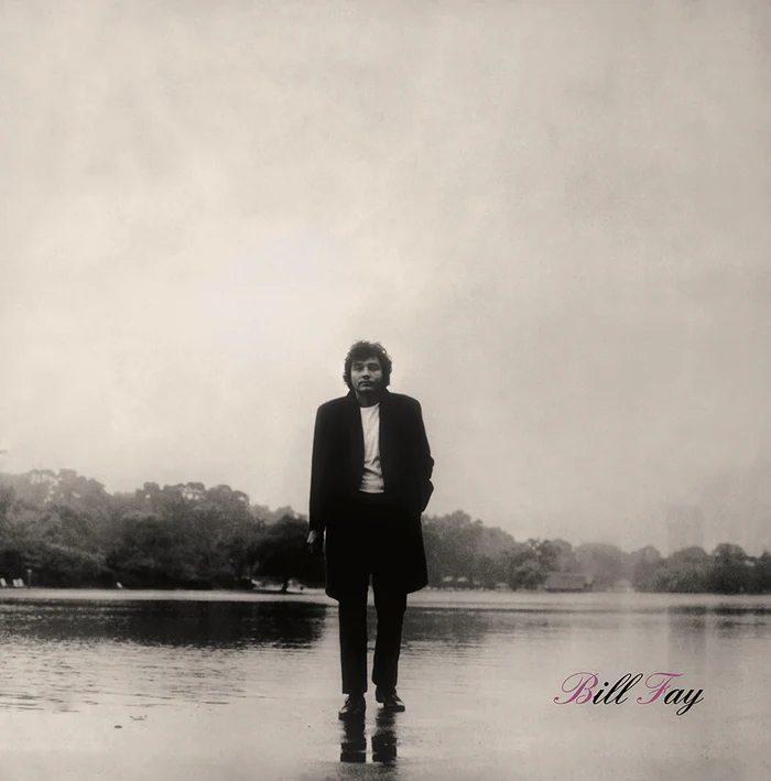 BILL FAY / ビル・フェイ / BILL FAY (LP)