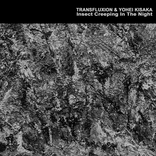 TRANSFLUXION & YOHEI KISAKA / Insect Creeping In The Night