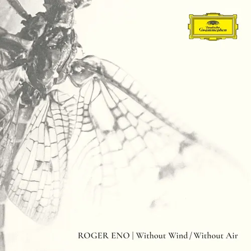 ROGER ENO / ロジャー・イーノ / WITHOUT WIND / WITHOUT AIR: LIMITED VINYL