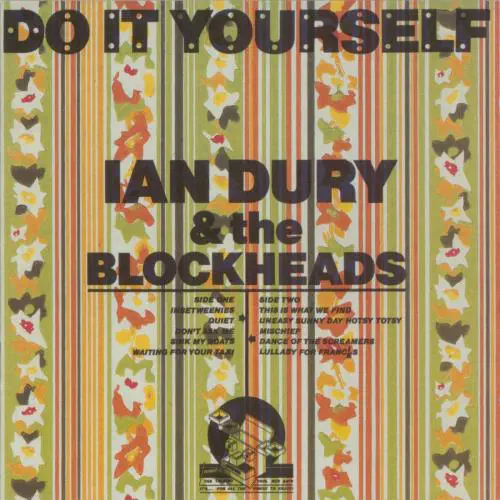 IAN DURY / イアン・デューリー / DO IT YOURSELF (LP)