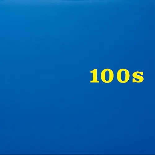 KAZUYOSHI NAKAMURA / 中村一義 / 100s