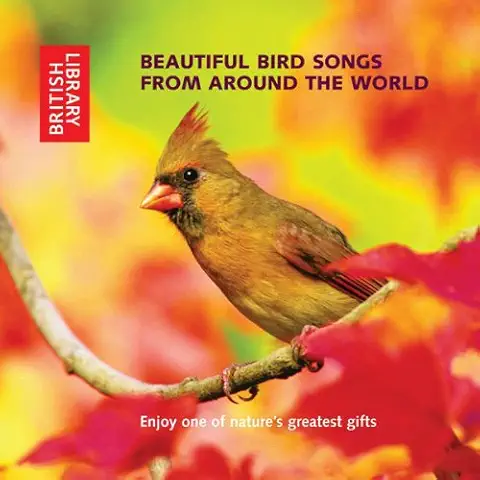 V.A. / BEAUTIFUL BIRD SONGS FROM AROUND THE WORLD