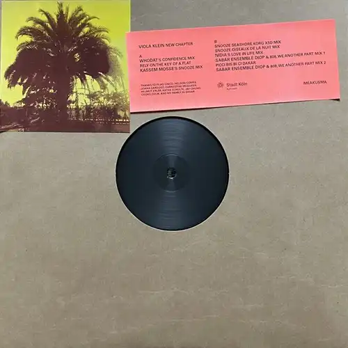 VIOLA KLEIN / NEW CHAPTER (LP)