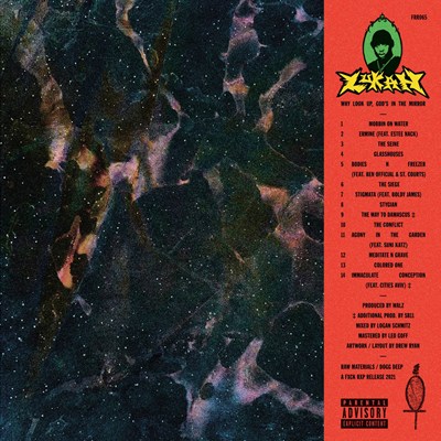 LUKAH / WHY LOOK UP, GOD'S IN THE MIRROR (LP) (REPRESS)