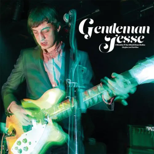 GENTLEMAN JESSE / ジェントルマンジェシー / I WONDER IF YOU WOULD EVEN NOTICE : SINGLES AND RARITIES (LP)