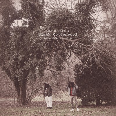 QUELLE CHRIS & CAVALIER / BLACK COTTONWOOD (LP)