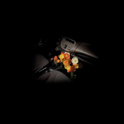 VERITY DEN / WET GLASS (LP)