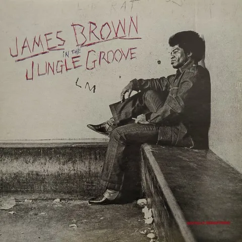 JAMES BROWN / ジェームス・ブラウン / IN THE JUNGLE GROOVE (CLEAR VINYL 2LP)