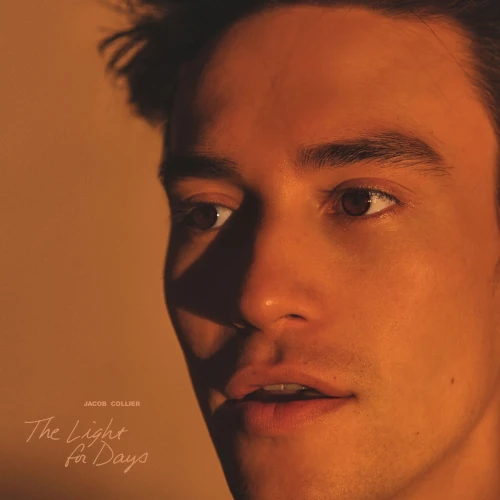 JACOB COLLIER / ジェイコブ・コリアー / LIGHT FOR DAYS (LP)