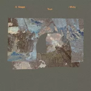 M.SAGE / Tender / Wading