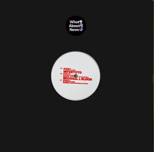 INTERTOTO / IF I TAKE YOU HOME (MICHAEL J. BLOOD MIXES)