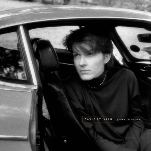 DAVID SYLVIAN / デヴィッド・シルヴィアン / GONE TO EARTH
