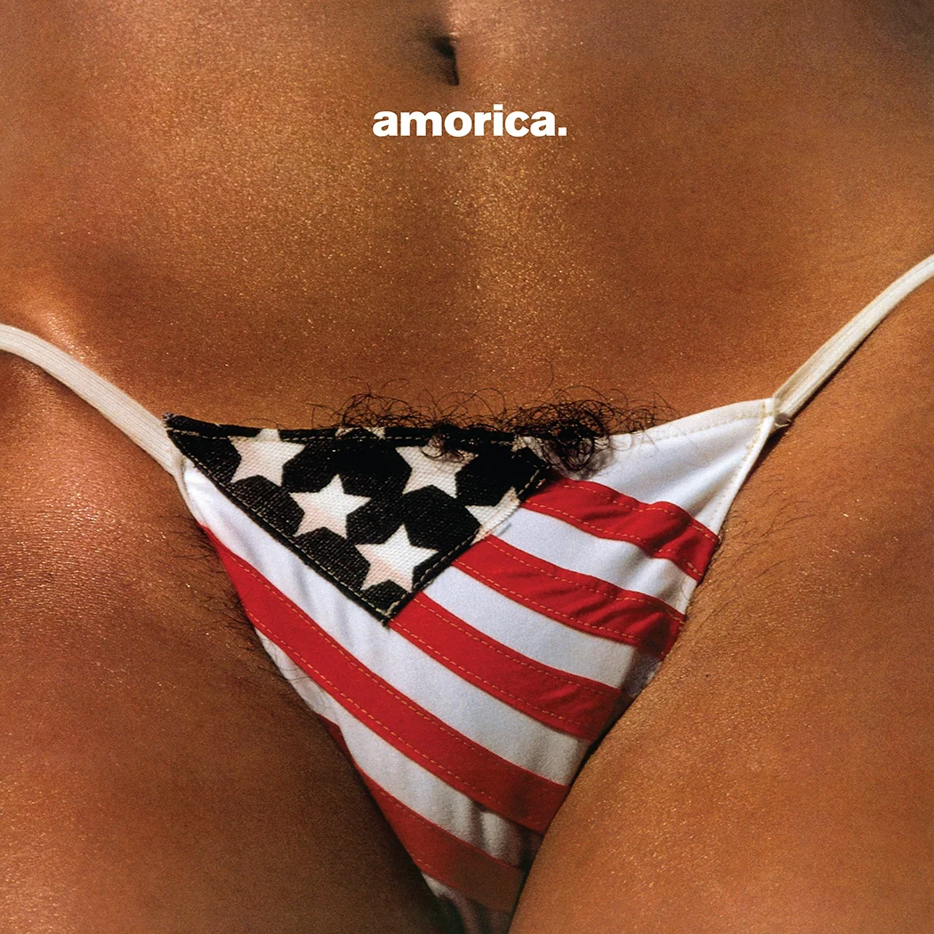 BLACK CROWES / ブラック・クロウズ / AMORICA [1CD EDITION]