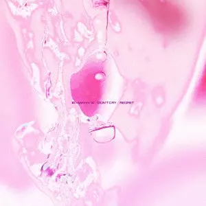 ExWHYZ / DON'T CRY/リグレット