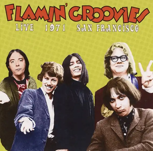 FLAMIN' GROOVIES / フレイミン・グルーヴィーズ / ライヴ･イン･サンフランシスコ 1971