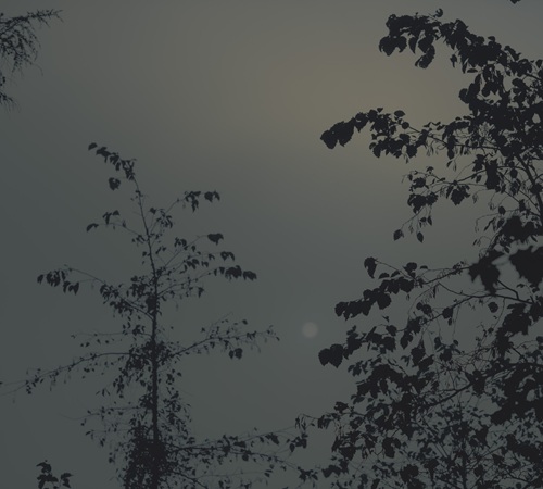 ITOKO TOMA / 当真伊都子 / Beside the Moon