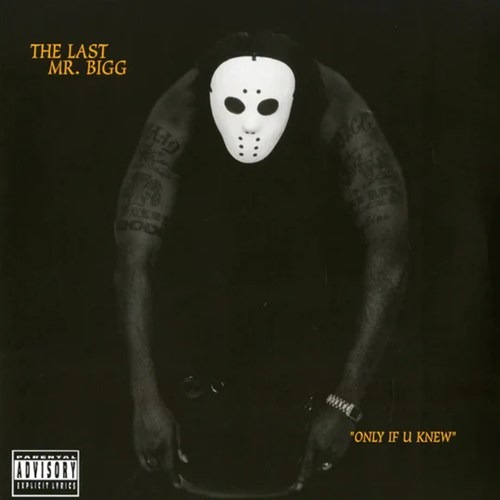 THE LAST MR. BIGG / ONLY IF U KNEW (2LP)