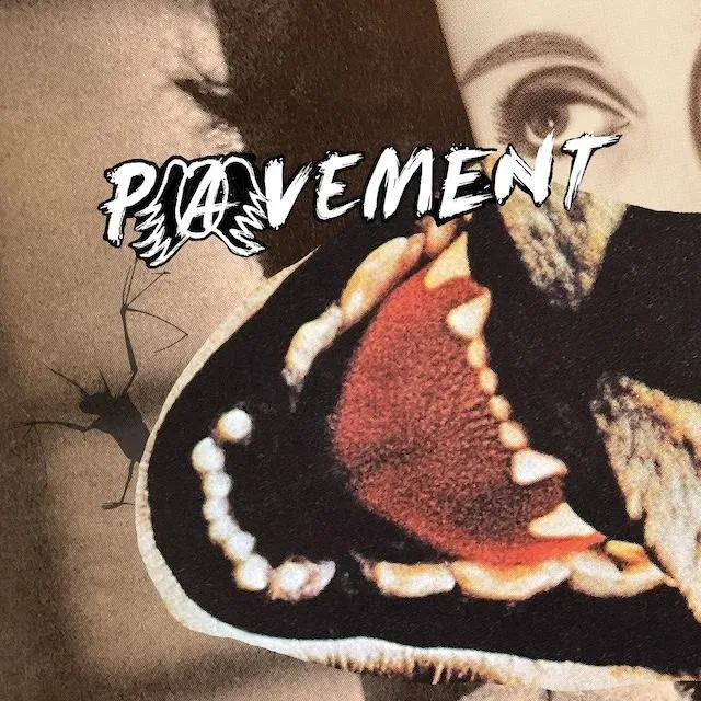 PAVEMENT / ペイヴメント / HECKLERS CHOICE (LP)