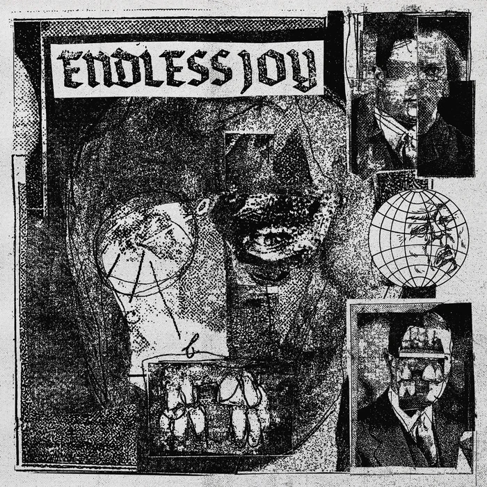 ENDLESS JOY / ENDLESS JOY (LP) / ENDLESS JOY (LP) 