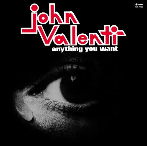 JOHN VALENTI / ジョン・ヴァレンティ / ANYTHING YOU WANT / エニシング･ユー･ウォント（LP）