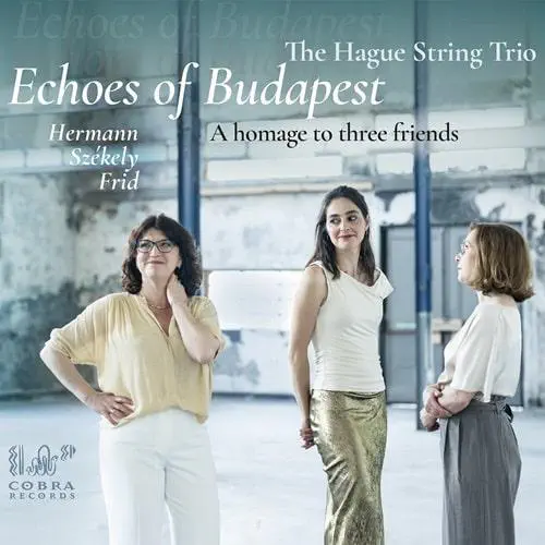 THE HAGUE STRING TRIO / ハーグ弦楽三重奏団 / PAUL HERMAN:STRING TRIO - ECHOS OF BUDAPEST / ECHOS OF BUDAPEST