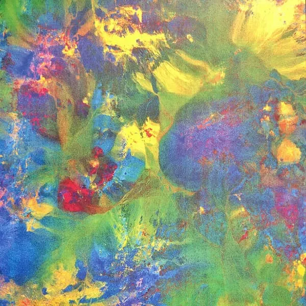 JON COLLIN & DEMDIKE STARE / MINERALS