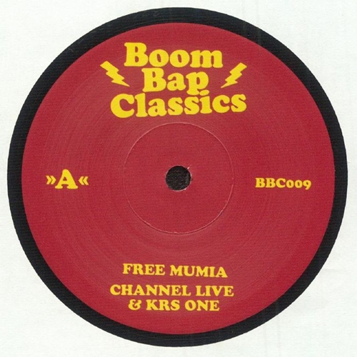 KRS-ONE / BOOM BAP CLASSICS VOL.9 (7")