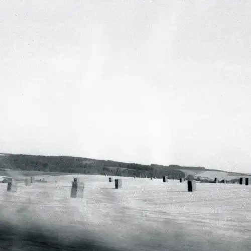 DRONE / FERAL [CD]