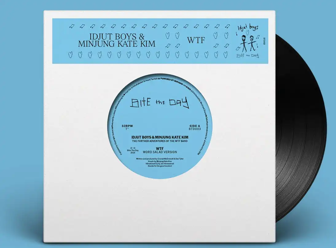 IDJUT BOYS & MINJUNG KATE KIM / WTF - FURTHER ADVENTURES OF THE WTF BAND