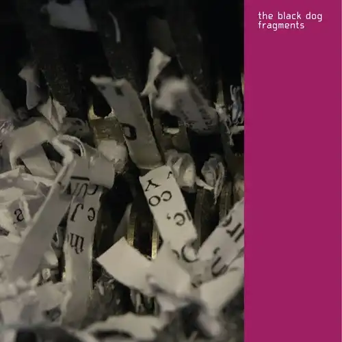BLACK DOG / ブラック・ドッグ / FRAGMENTS (REMASTERED) CD