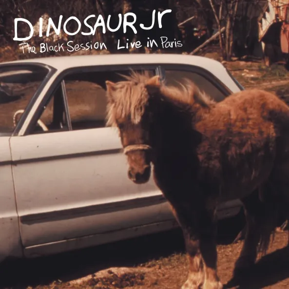 DINOSAUR JR. / ダイナソー・ジュニア / THE BLACK SESSION (LIVE IN PARIS 1993) / ザ･ブラック･セッション（ライヴ･イン･パリス 1993）
