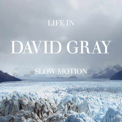 DAVID GRAY / デヴィッド・グレイ / LIFE IN SLOW MOTION (DELUXE 20TH ANNIVERSARY EDITION) (COLORED 2LP)