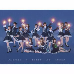 可憐なアイボリー / 消えない